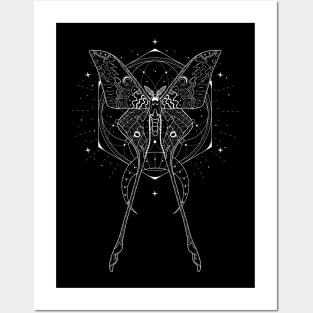 Chinese Luna Moth - Actias Dubernardi Posters and Art